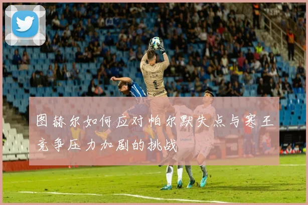 图赫尔如何应对帕尔默失点与寒王竞争压力加剧的挑战