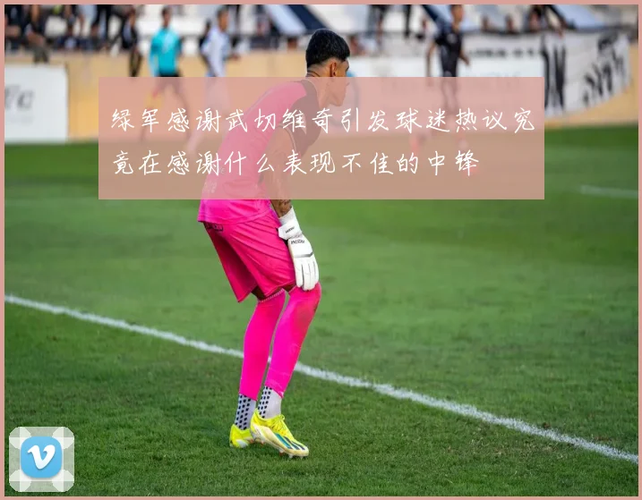 绿军感谢武切维奇引发球迷热议究竟在感谢什么表现不佳的中锋