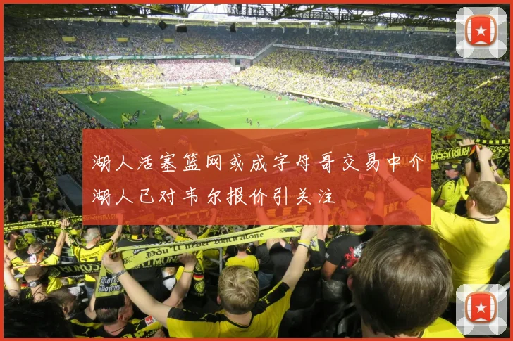 湖人活塞篮网或成字母哥交易中介湖人已对韦尔报价引关注