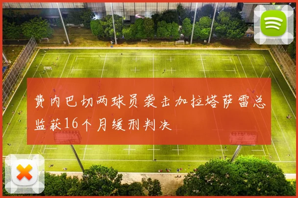 费内巴切两球员袭击加拉塔萨雷总监获16个月缓刑判决